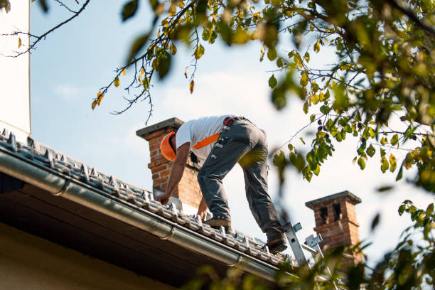 Best Roof Gutter Cleaning  in Cumberland Hill, RI